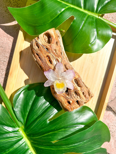 Angela Orchid Necklace