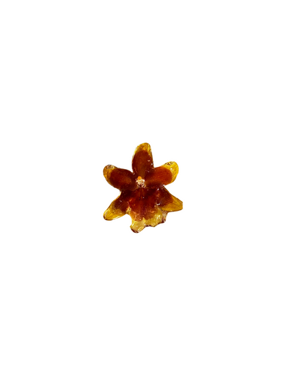 Denny Orchid Necklace